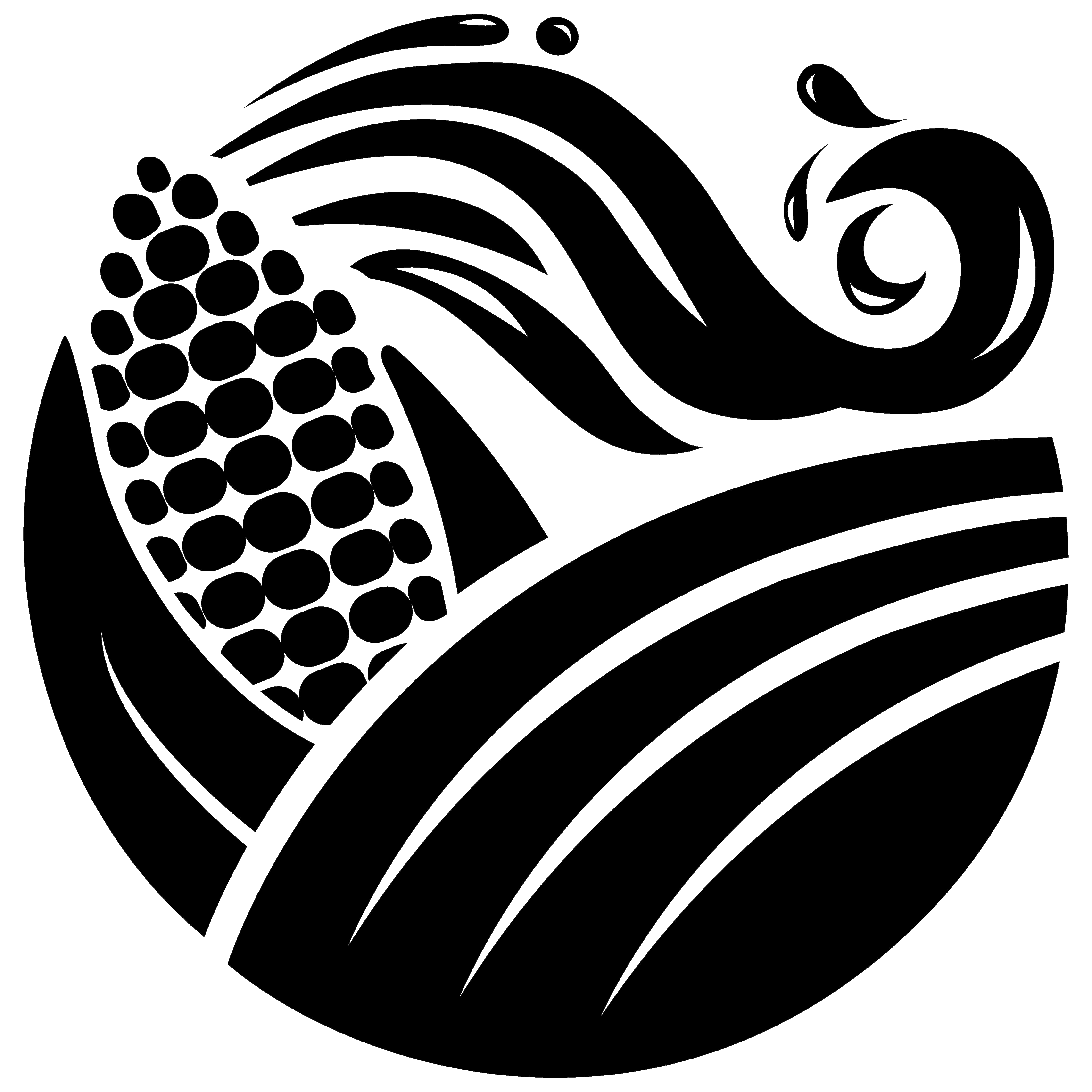 Pod Image